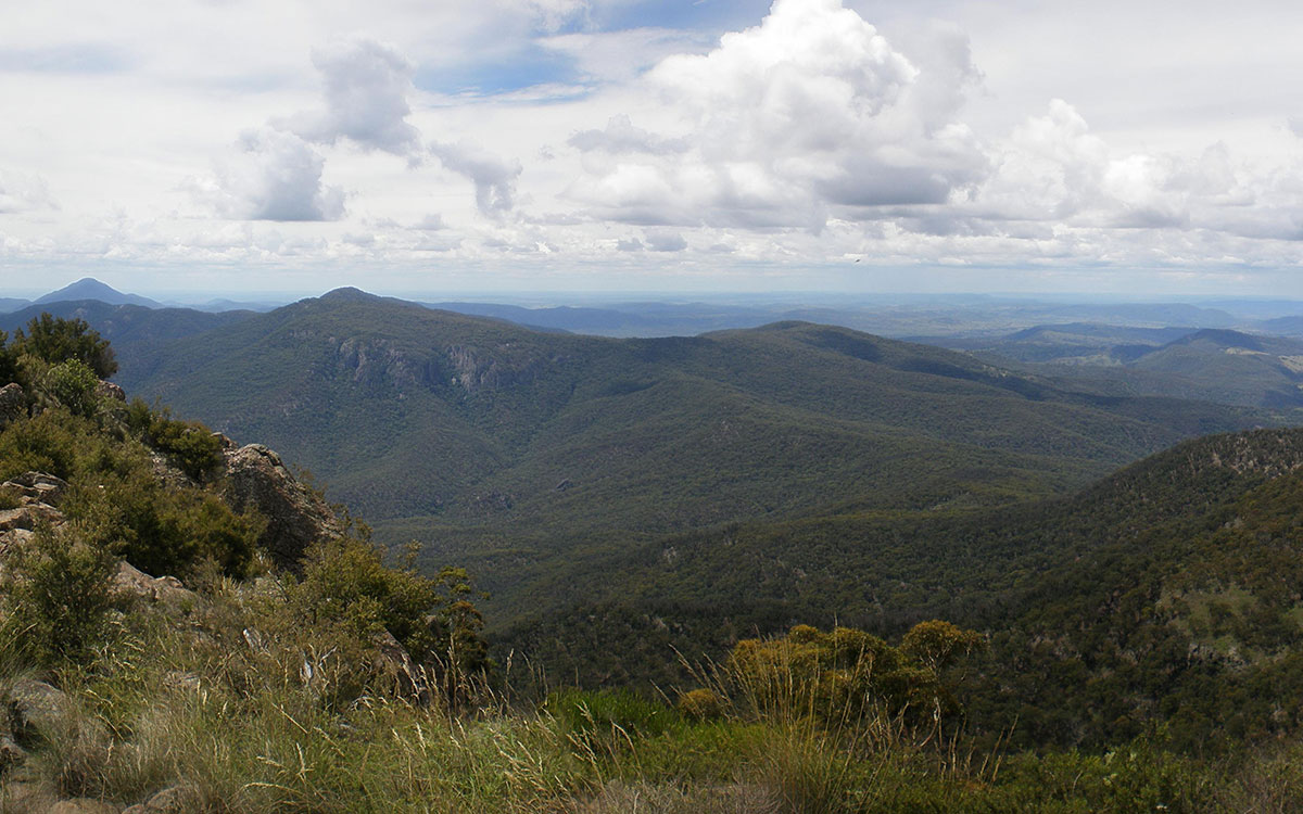 national park near wee waa